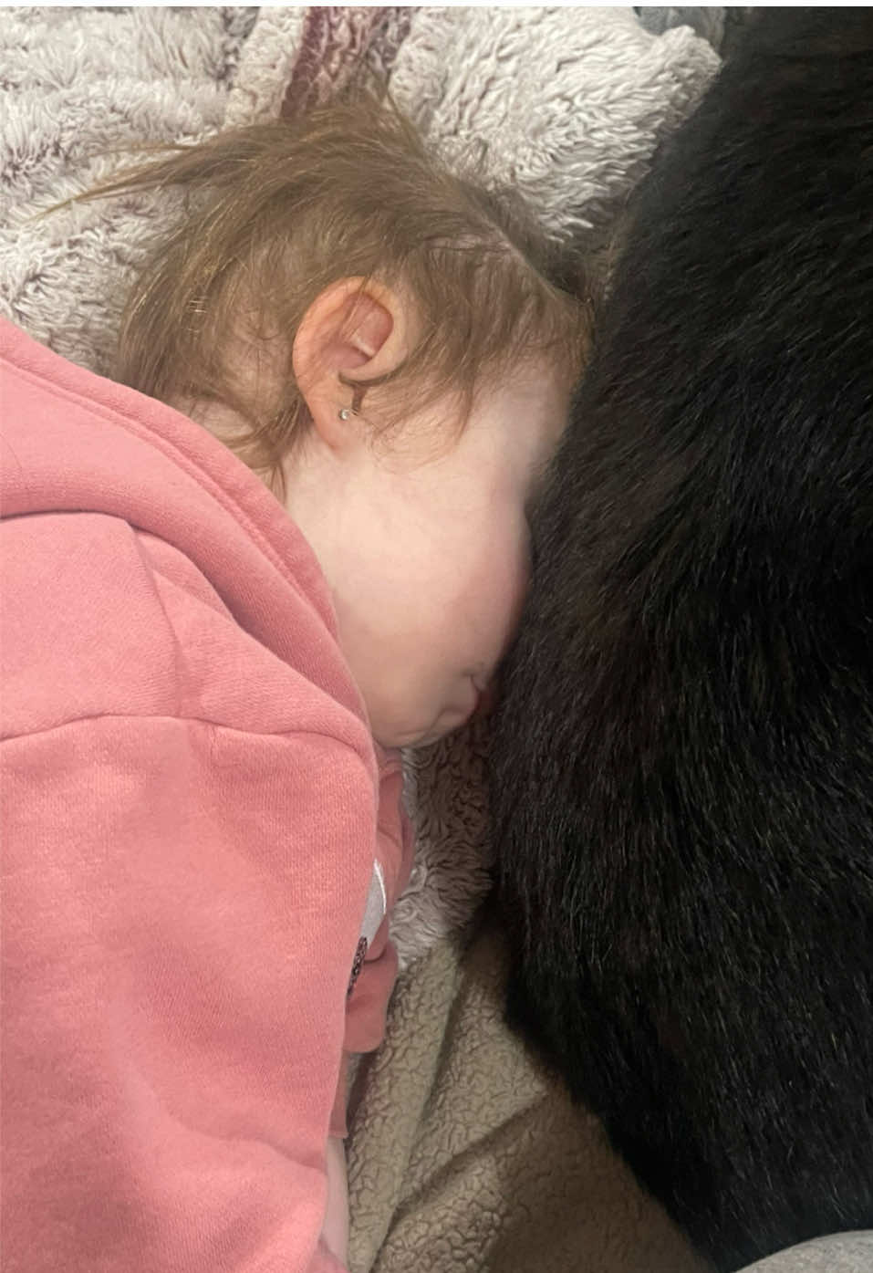 Brookie’s Blog 🍩 #brookiesblog #fyp #foryoupage #foryou #donut