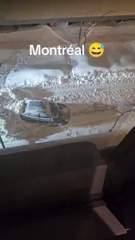 C'est magnifique! 😂 #snowstorm #snow #mtl #foryoupage #fyp #quebectiktok merci @Alban Jouvin pour ce bijou! 
