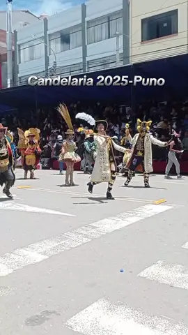 Lo que fué de candelaria 2025-puno ✨ #visitanteinesperado  #puno_peru #candelaria #fyppppppppppppppppppppppp #candelaria2025puno🇵🇪 #chankakichachi 