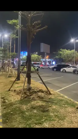 dân Cần Thơ Lần đầu đi sân bay Nội Bài đón khách 🤪🤪🤪🤪