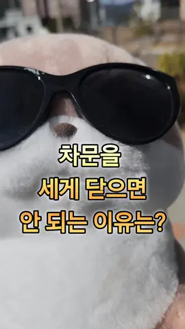 차문을 세게 닫으면 안 되는 이유는? 화순두부집 아재의 아재개그