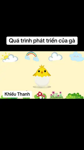 Sự phát triển của gà #canva #hoathinh #giaovienmamnon #gvmn #AI 