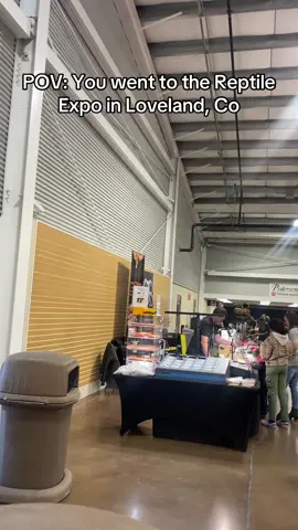 The Toad was something insane! 