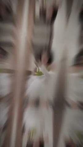 Đòi hỏi là sự bố thí….tuỳ duyên là sự nuông chiều❤️#xuhuongtiktok2024☘️🍀♥️😘 #newyear2025 #makeuptanphuockhanh #xuhuong #binhduong #CapCut 