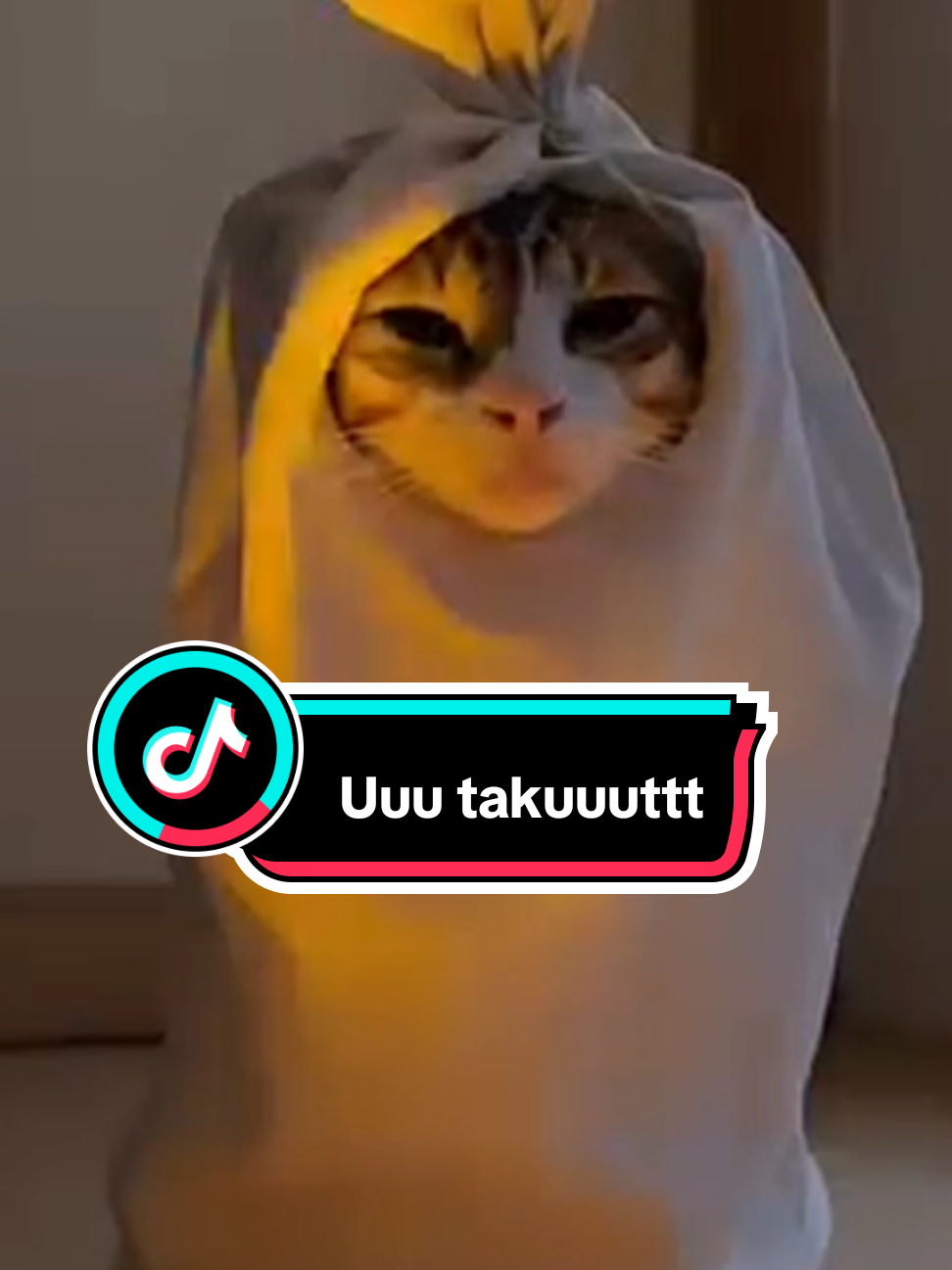 Ding dong buka pintunya dong #kucingrandom #ngakak #fypage #viral #fyp #kucingtiktok #funnycat #kitten #catlover #funnyshorts #funnyvideo #kucinglucu #cute #seram #horor #pocongtiktok 