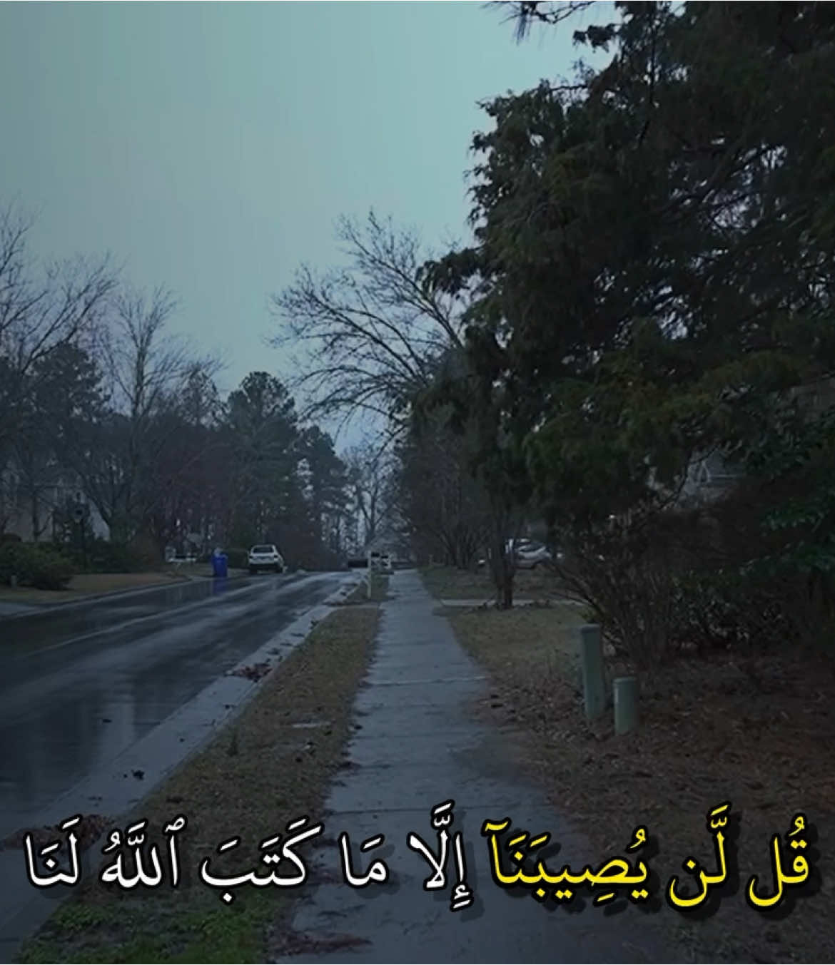 ﴿قُل لَّن يُصِيبَنَآ إِلَّا مَا كَتَبَ ٱللَّهُ لَنَا﴾@abod | 2009  __________________________ سورة التوبة : ماهر المعيقلي  __________________________ #quran_kriem #quran #القران_الكريم #تلاوات #قران #ماهر_المعيقلي 