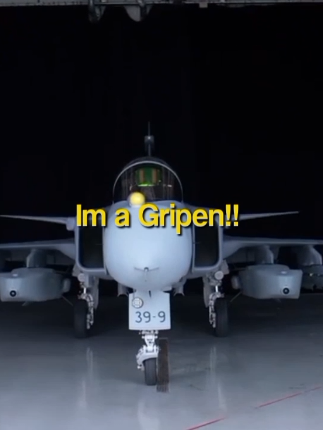 the feminine (๑'ᴗ')ゞ #jas39gripen #gripene #sweden #saab #looksmax #militaryedit #warthunder #acecombat #projectwingman #plane #foryou 