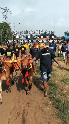 @kaktuanasnapon #sapikerrapprobolinggo #bolasetan #kayubalap #kotaprobolinggo #fyppppppppppppppppppppppp 