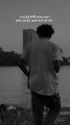 SIGMA Rules  🐺 #flypシ #viral #1billionviews #CapCut #everyone #sponsored #foryou #foryoupage #100k #1million #family  @💸   。アディヤ  。🕊️ 