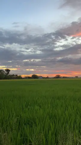 free to use #freetouse #vibes #md #story #sunset #myday 
