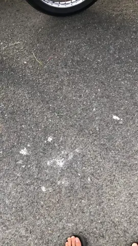 🦆🦆#mendadak5tp #5tpgank #5tpmenolakpunah #blitar24jam #vega110new #vegarnew #fypシ゚viral #4u #fypage #vegar #foryoupage #berandatiktok #pltajeguwlingi 