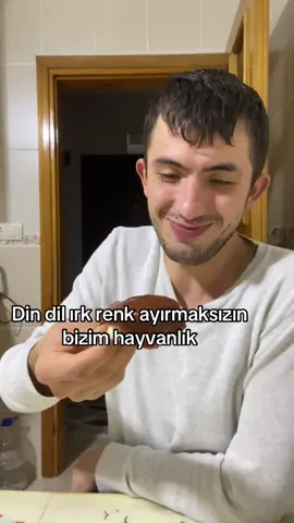 Hayvansal sorunsallar 