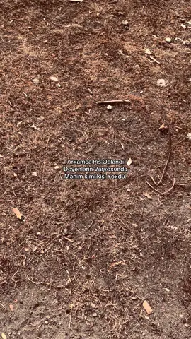 Bilənlər bildi 😉#kesfet #gecəpostu #keşvetbeniöneçıkar #sevgi #fdyツviral🖤tiktok #