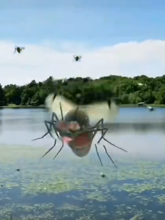 #creatorsearchinsights #aplikasirahasia #poppyplaytimechapter1 #aplikasikeren 