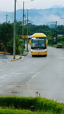 #fypシ゚  Coop Baños 112 #busesecuador🇪🇨 #rutasdelecuador🛣️🇪🇨🚛 #pasionporlosbuses❤🚍 