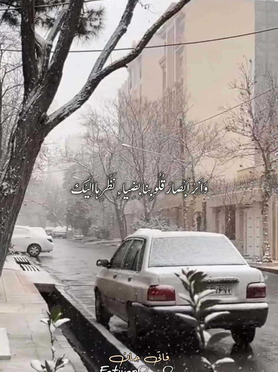 اِلـهي هَبْ لي كَمالَ الانْقِطاعِ اِلَيْكَ🌨🍂 #مناجات_شعبانیه #المناجاة_الشعبانية #زياراتي #مشهد #مشهد_المقدسة #قم #قم_المقدسه #مناجاة #أدعية #ايران #الصحيفة_السجادية #دعاء_كميل #دعاء_الندبة #دعاء_الجوشن #رضا_جان  #خونه_پدرى #رضا_جان #حرم_مطهر #رضوية_القلب #جاري_الرؤوف #أشهر_النور #شهر_شعبان #شهر_شعبان_المبارك  #روح_الله #مناجاة_أمير_المؤمنين #امام_رضا #امام_هشتم #ضامن_آهو #تصويري #أنيس_النفوس #مشهد_المقدسة #سلطان_قلبي #روح_الله_الموسوي_الخميني #الخميني #شهر_رمضان #شهر_رجب #رضا_جان_از_سلطان_رضا_جان_مشهد #أهل_البيت_عليهم_السلام #اللهم_صل_على_محمد_وآل_محمد #العتبة_الرضوية_المقدسة #العتبة_الحسينية_المقدسة #العتبة_العباسية_المقدسة #العتبة_العلوية_المقدسة #العتبة_المعصومية_المقدسة #الامام_الرضا_عليه_السلام #بين_الحرمين #كربلاء #كربلا #كربلاء_العشق #كربلاء_المقدسة #النجف #النجف_الاشرف #قم #جنوب_لبنان #ايران #قم_المقدسه #ياعلي #ياعلي_مدد #القطيف #ياعلي_مولا_عَلَيہِ_السّلام #العراق #شيعة_علي #ترند_تيك_توك #جانا #اكسبلور #اكسبلورر #اكسبلورexplore #حركه_الاكسبلور #حركة_إكسبلور #طلعوني_اکسبلور #محظورة_مشاهدات #مشاهدات #مشاهدات_تيك_توك #مشاهدات #دعمكم_ورفعولي_فديو #دعم #اضافة #اضافات #كومنتات #تعليقات #الشعب_الصيني_ماله_حل #ترند_تيك_توك #اكسبلور_تيك_توك #السياحه_في_ايران #السياحه_في_مشهد #سياحة_سفر #ثلج #الشتاء #كسبلور #برف #السياحه_في_مشهد #explore #fyp #viral #CapCut #shiaali313 #ahlulbayt #313  #iran #iranian #iraq #qom # #رضا_جان #حركه_الترند #حركه_اكسبلور #حركه_الاكسبلور #ترند_تيك_توك #جنوب_لبنان #الضاحية_الجنوبية #الشهداء #كربلاء #بين_الحرمين #الكاظمية #حضرت_معصومه_س #يافاطمة_اشفعي_لي_في_الجنة #دعمكم_ورفعولي_فديو #مشاهدات_تيك_توك #مشاهدات #دعمكم #اللهم_صل_على_محمد_وآل_محمد #رضا_جان #بين_الحرمين #السياحه_في_ايران #السياحه_في_مشهد #سياحة_سفر #تصويري #تصميمي #ستوريات_حسينيه #الكاظمية_المقدسة #الامام_الرضا_عليه_السلام #النجف #الامام_علي_عليه_السلام #علي_مولا_عَلَيہِ_السّلام #مشاهدات #ترند#ترند_تيك_توك 