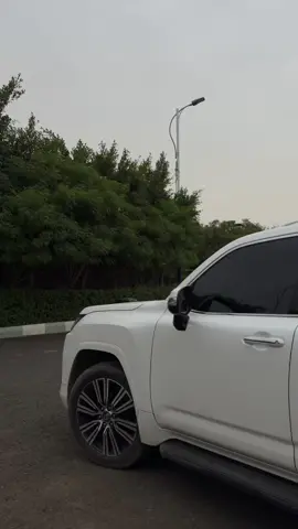 💚Ibb #المشجري_للعسل #اليمن🇾🇪  #foryou 