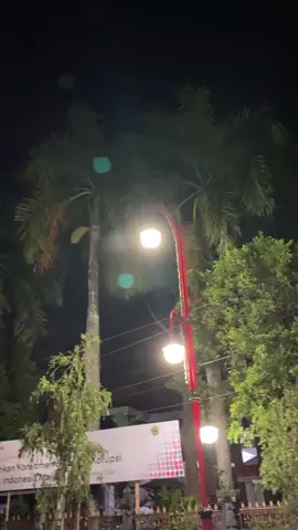 Herex rudo papat😋😅#janurjawabali #tragabanyuwangi #drivermuda #pelarimalam #janurabadi #fyp 