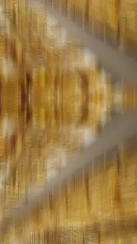 #video #growmyaccount #foryoupage #foryou#goviral 