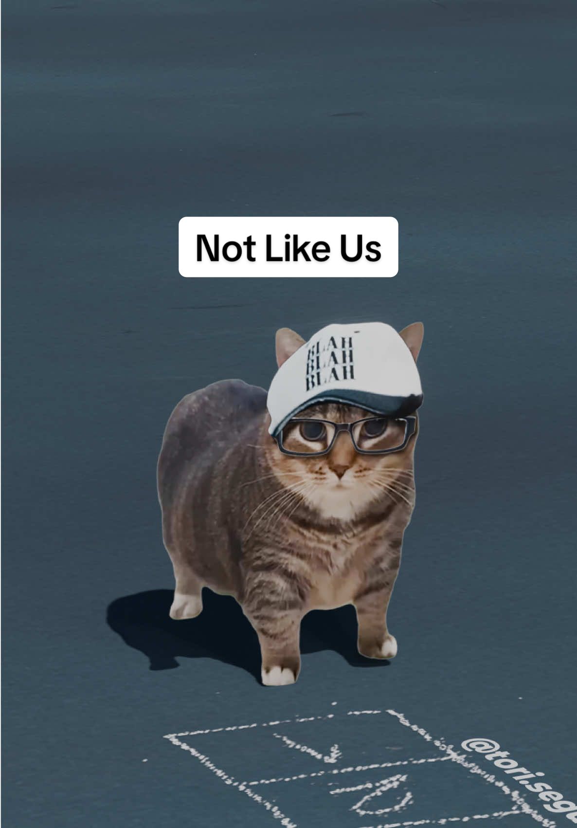 It‘s probably uia 😼 OIIA Cat x Not Like Us by Kendrick Lamar 🗣️🗣️ #cats #lyrics #kendricklamar #fyp #foryou 
