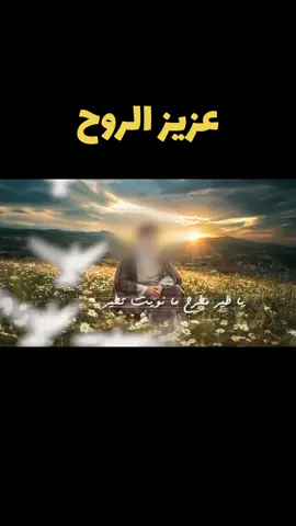 عزيز الروح يا طير مطرح ما نويت تطير #for_you_page #أمين_الروح #fy #explore #viral #viral #إنا_على_العهد 