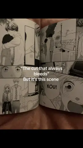 Vol 6 is a love hate relationship #aoharuride #aoharuridemanga #manga #thecutthatalwaysbleeds #thatonescene #fyppp