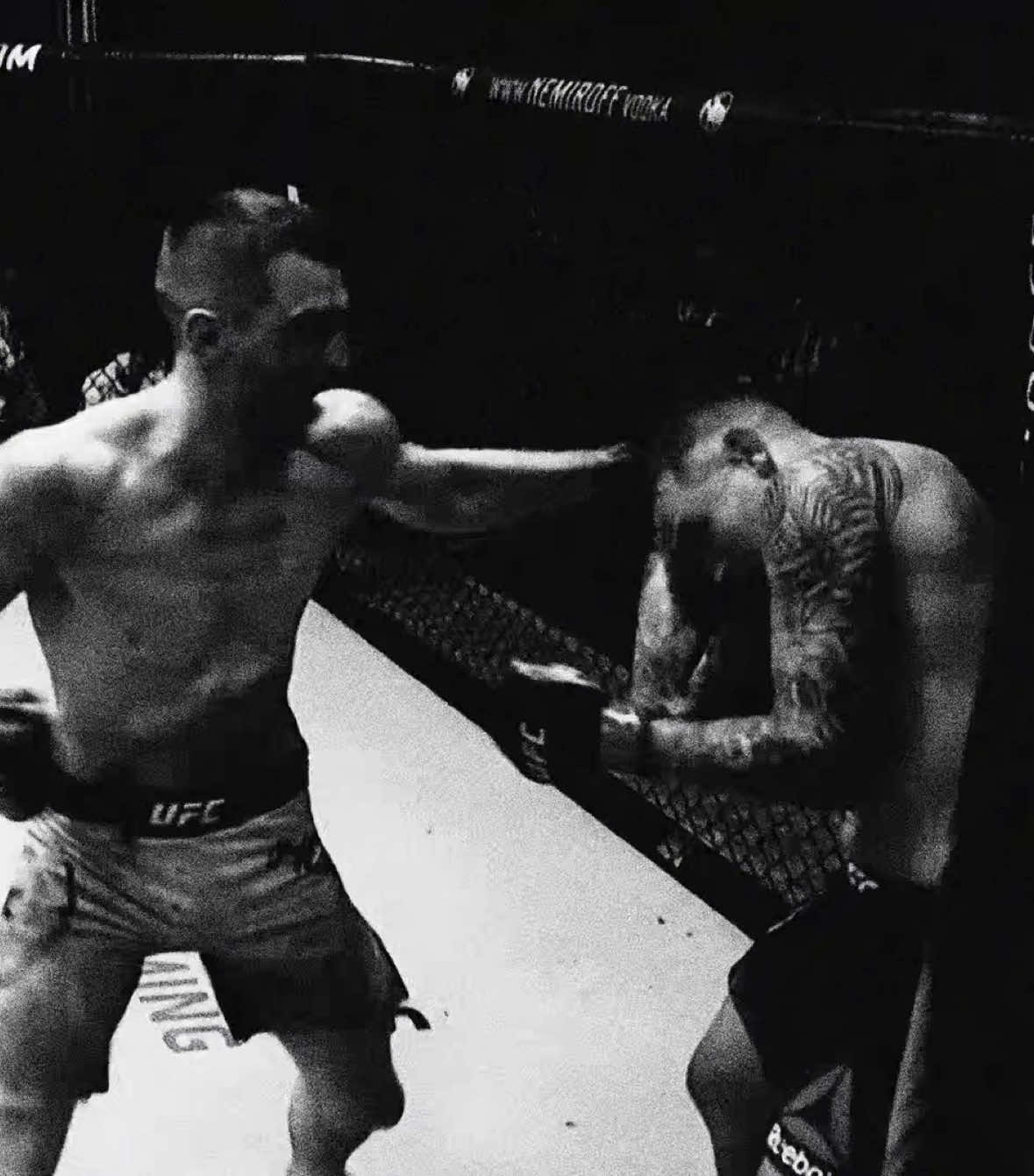 fight of the year #danhooker #justingaethje #cte #ufc313 #UFC #foryou #fyp 
