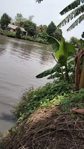 praune wes peress 🔥 #brtaudio #lapendozgank #fyp #nyadranbalongdowo #oleng 