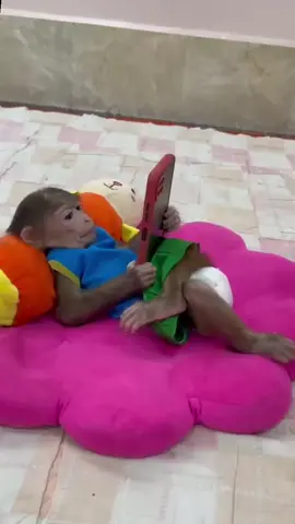 Little Monkey Brother who loves playing with his phone#Cuteenoughtoexplode #Monkey #Funny 