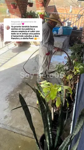 Respuesta a @Lupis Lupis 💖 @BETO BUSTAMANTE05‼️#fypシ #soybeto05🌟 #betobustamante05 #comedia #paleteriasoybeto05🍦 