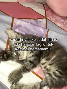 pleasee gimana biar cepet lupain diaa