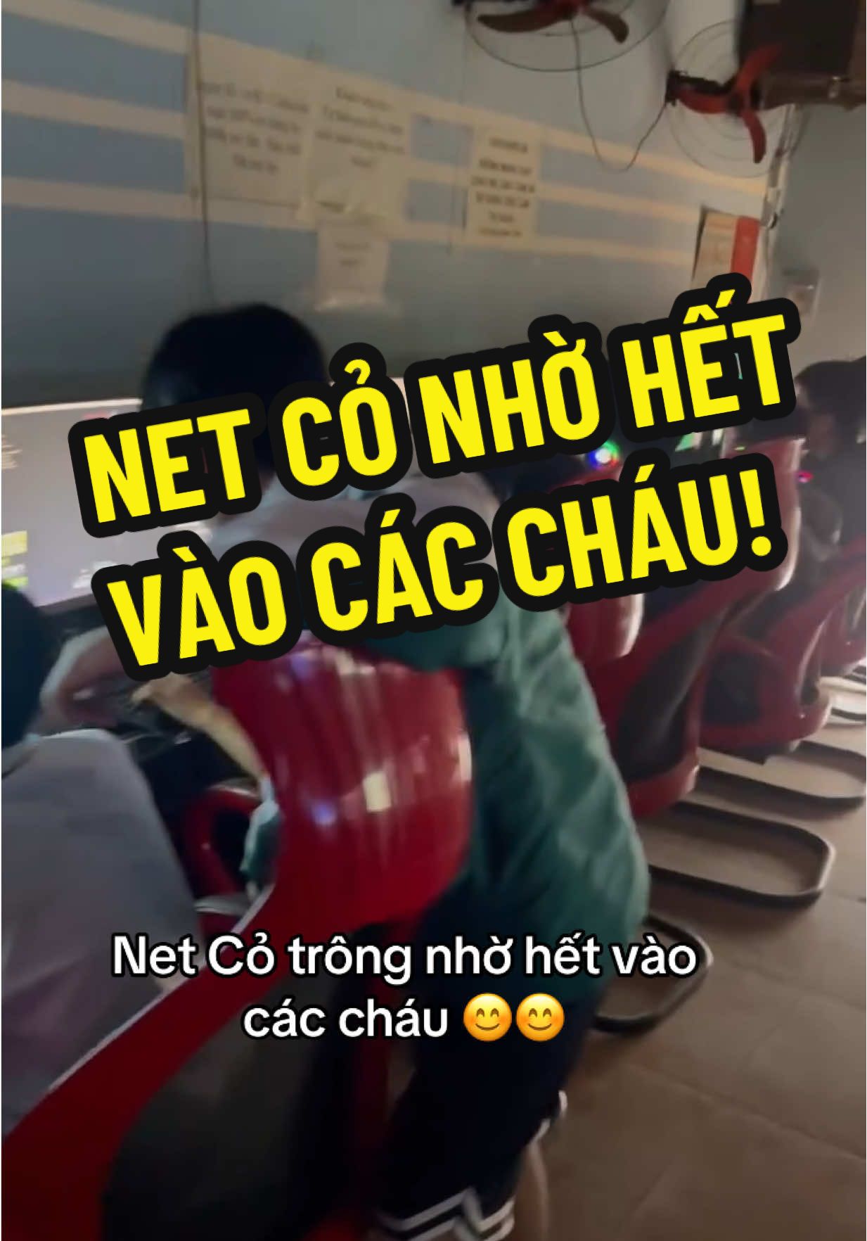 Net cỏ giờ trông nhờ hết vào các cháu 😍😍😍#thanhphongnet #dichoinet #netco #kinhdoanhphongnet 
