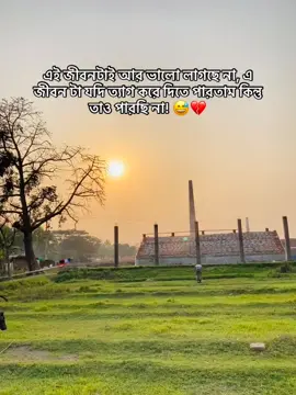 এই জীবনটাই আর ভালো লাগছে না, এ জীবন টা যদি ত্যাগ করে দিতে পারতাম কিন্তু তাও পারছি না! 😅💔#catsoftiktok #takemichi #takemichi #takistransformation #ppppppppppppppppppppppp 