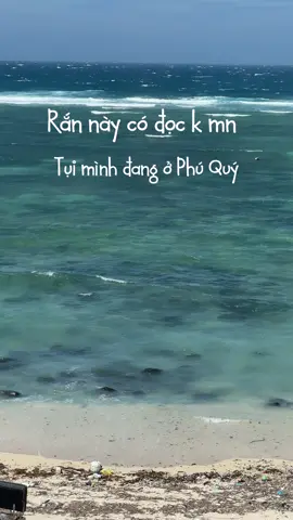 Đang ngồi ngắm biển thì thấy ẻm, có đọc k mn ơi #ranphuquy #phuquy #ran 
