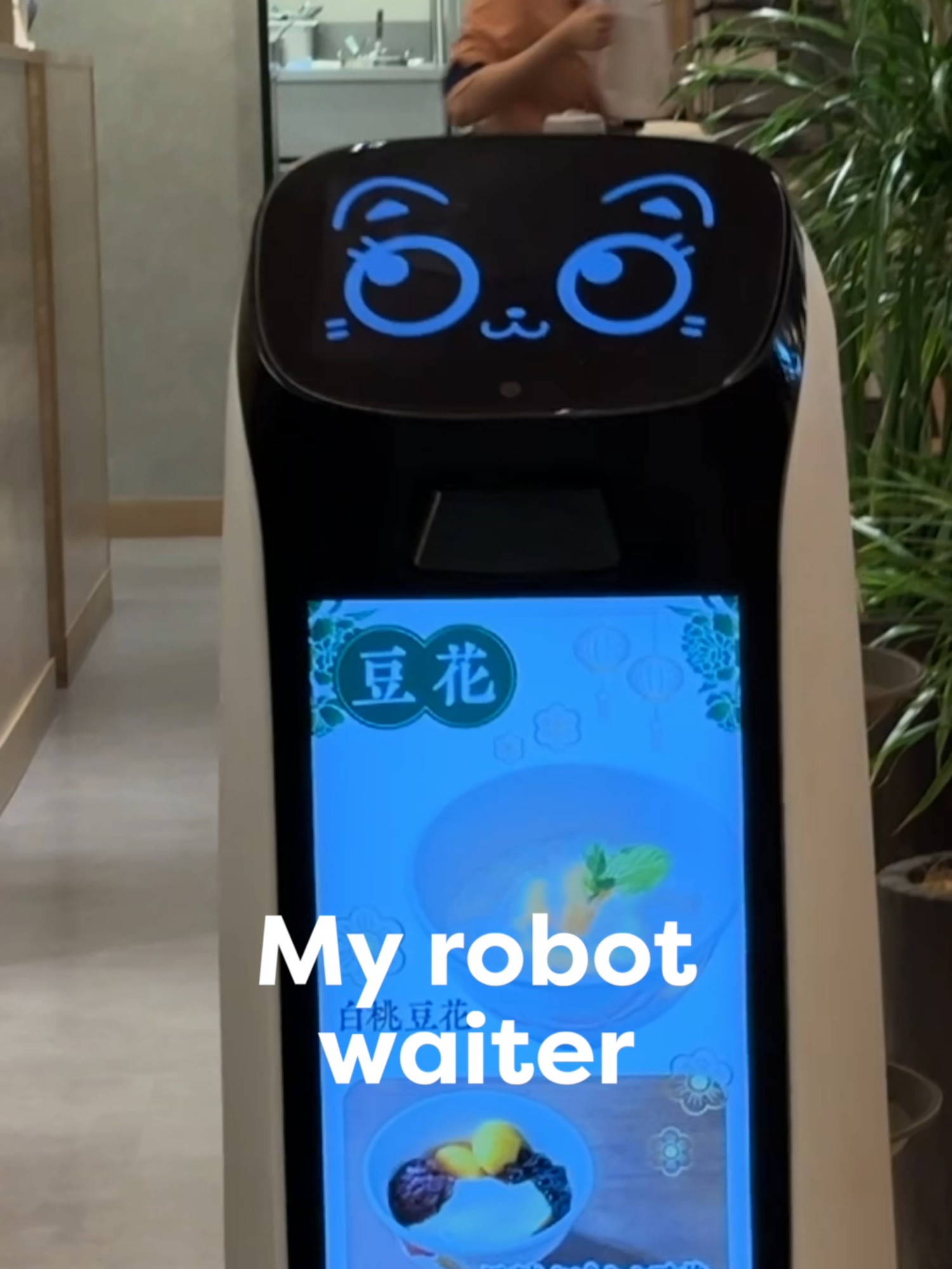 Cutest waiter ever 😸#cat  #robot #bellabot #tokyo #japan @pudurobotics.official