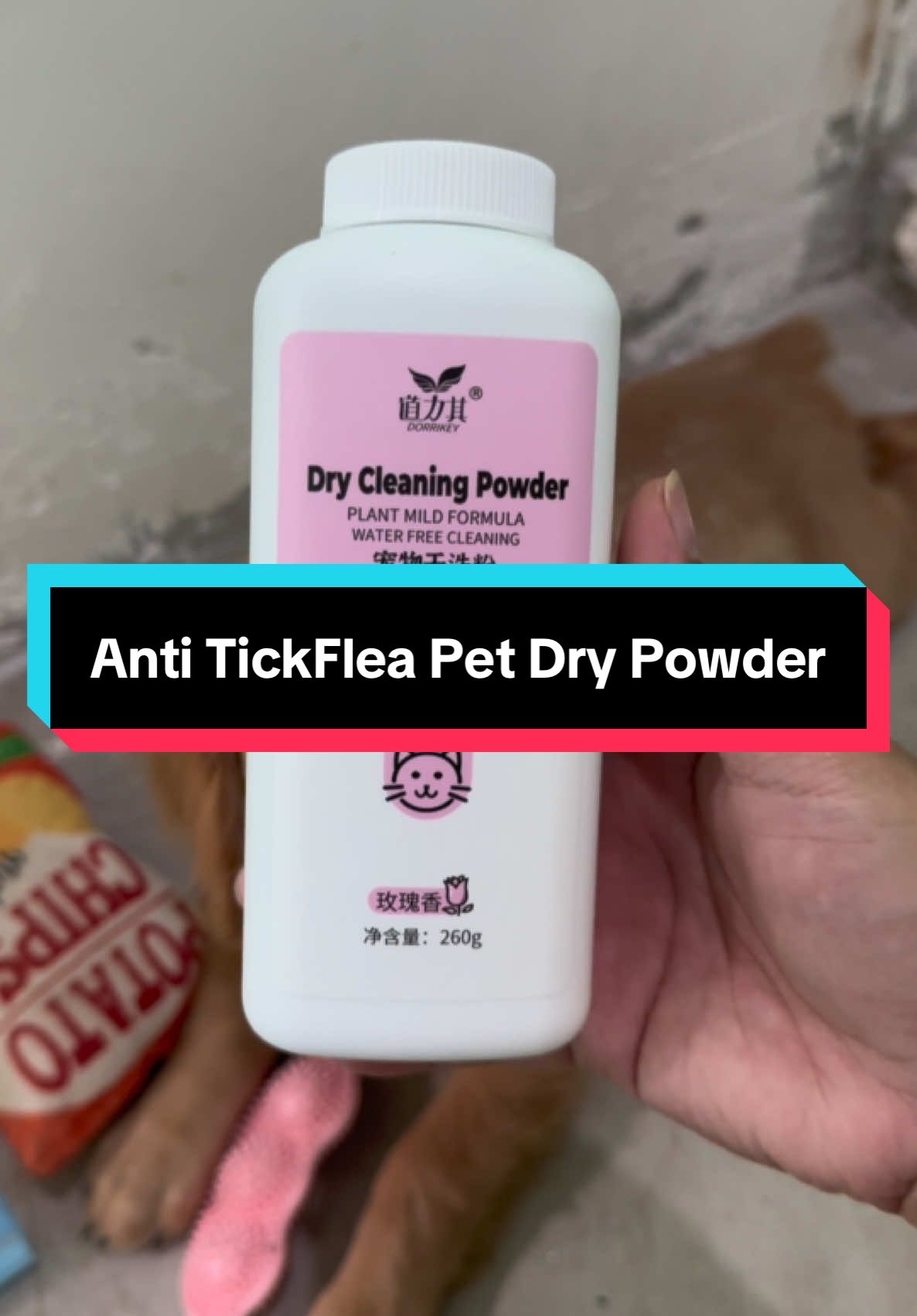 Twice a week adviseable mapaliguan mga furbabies naten or else gumamit takaga tayo ng gantong Dry Cleaning Powder shampoo, plus anti tick and flea dapat para sure na iwas sa kuto at garapata! 260g per bottle at sulit na sulit matagal nyo ng magagamit sa alaga nyo! #dryshampoo #petdryshampoo #petdrycleaningpowder #foryou #fyp 