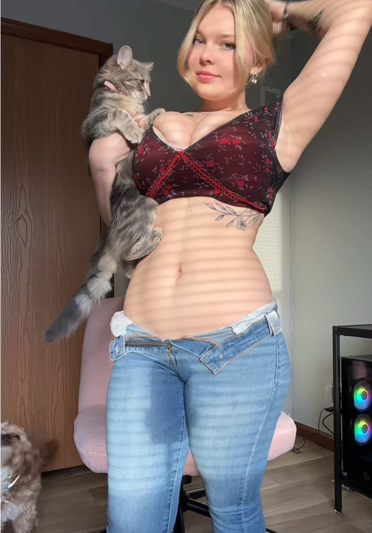 Meet my new kitty eve !! (feat. archie)  #cat #dog #dogsoftiktok #tabbycat #animals #curvy #blonde 
