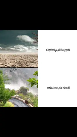 باقي شوي ونحقق الحلم مع بعض 🥹 #ابو_زهره 