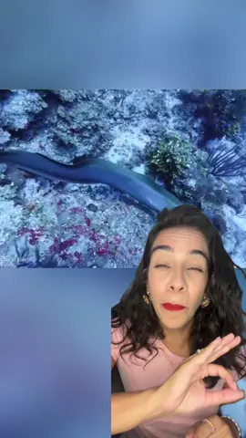 O mistério das enguias.