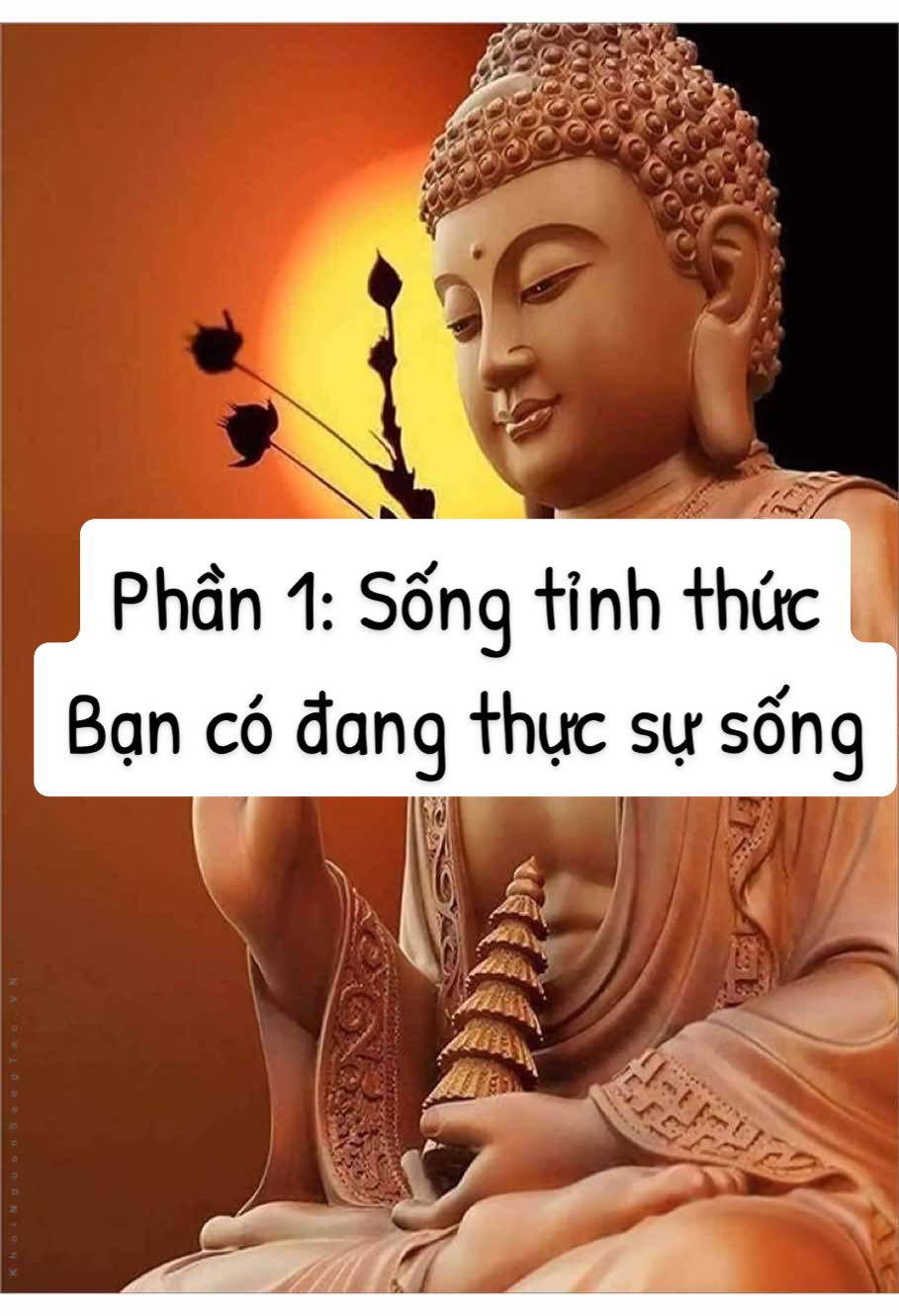 Trong video mới này tôi nói về sống tỉnh thức. Đây là phần 1, tôi sẽ đăng phần 2 vào ngày mai. Nếu muốn xem đầy đủ thì mọi người có thể vào kênh YouTube Luyện TV để xem chi tiết. #tamlinh #tinhthuc #phatphap #tuhanh 