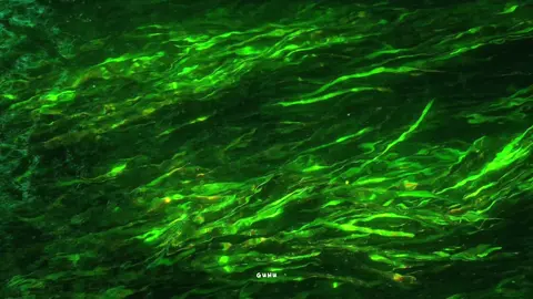 anh chỉ mong thời gian kia sẽ ngừng trôi để có thể mãi ở phút giây bên người thôi.. #sarang #hoanggreen #guhu #xuhuong #fypシ 