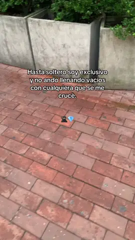 #fypp #fypシ゚ #exclusivo#