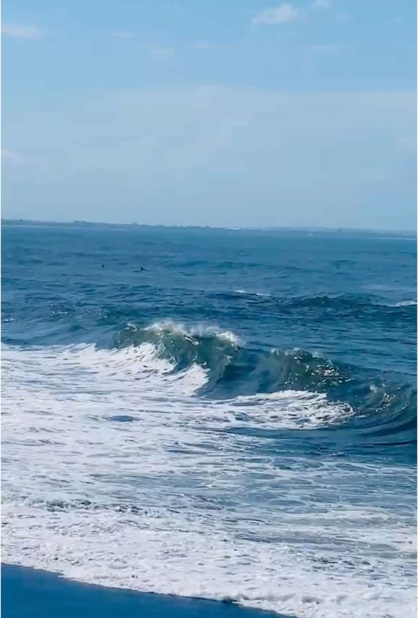 🫶🏻✨                                      #beaches #beach #beachvibes #beachlovers #beachday #foryou #foryourpages #bali #tiktok 