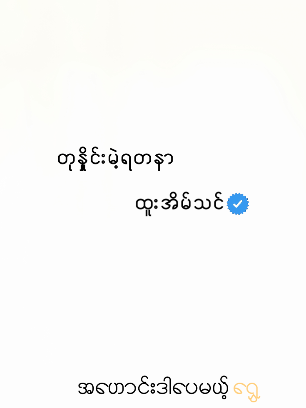 တုနှိုင်းမဲ့ရတနာ // ထူးအိမ်သင် #fypシ゚ #lyrics #htooeainthin #ကိုငှက် #foryoupage 