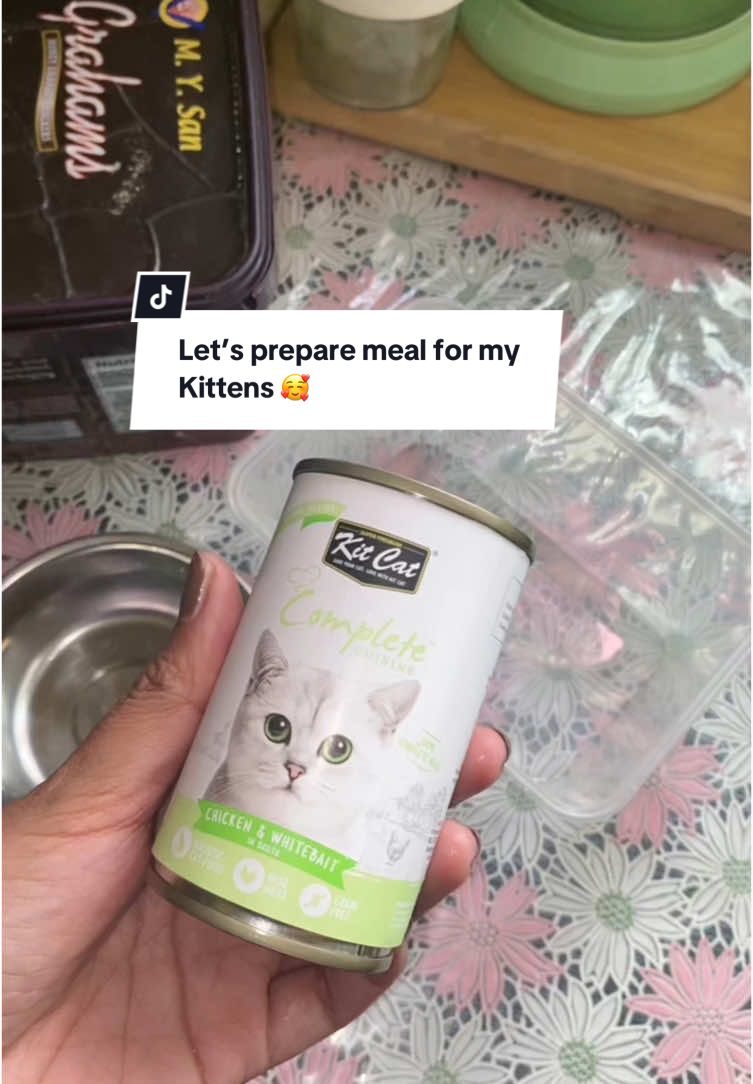 Very healthy for cats! Worth to buy products for our furr babies 💯#fyp #foryoupage #foryou #fypシ゚ #fyppppppppppppppppppppppp #cats #cat #catsoftiktok #catfood #catfoodreview #kitcatcompletecuisine #salmonoil #reccomendations 
