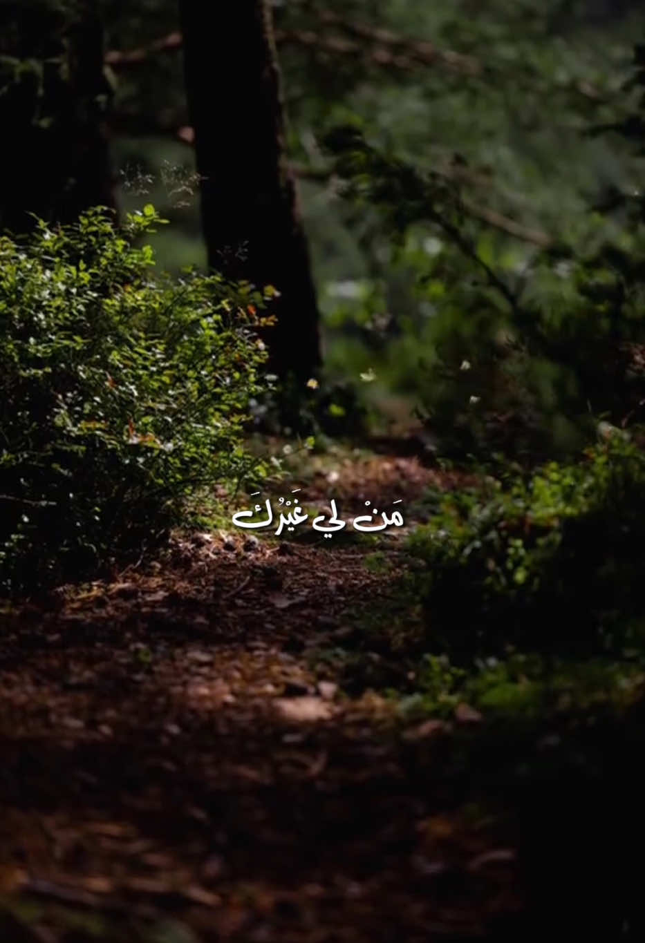 الهي وربي من لي غيرك #مصطفى_الموسوي #مهدي_نعمه #CapCut #fypシ #fyp  