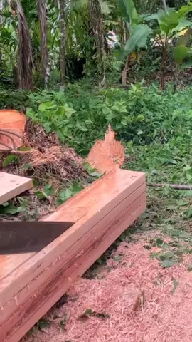 #chainsawmill #chainsawskills #lumberjack #chainsawmaster #treecut #sawingwood #stihlpower 