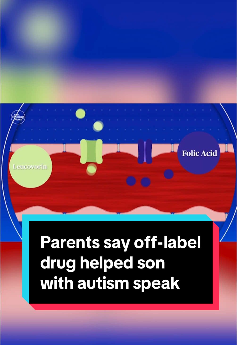 Doctors are studying the low-cost drug leucovorin, derived from folic acid, as a possible treatment for autism in children. But with little profit potential, pharmaceutical companies won’t fund FDA trials — leaving families dependent on off-label prescriptions. #news #health #autism #autismawareness #fda #leucovorin #research #folicacid 