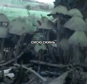 #ТГ Грустные мысли (фоны, музыка, всё для вас )))