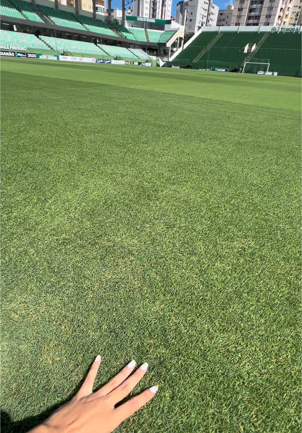 Fácil o gramado NATURAL mais bonito do Brasil! 🏟️ Quinta-feira é dia de nos encontrarmos aqui. Garanta seu ingresso em > ingresso.goiasec.com.br. #fy #foryou #goiasec #futebol 